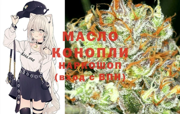 гашик Пересвет