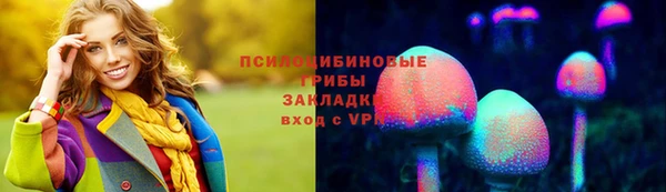 apvp Грязовец