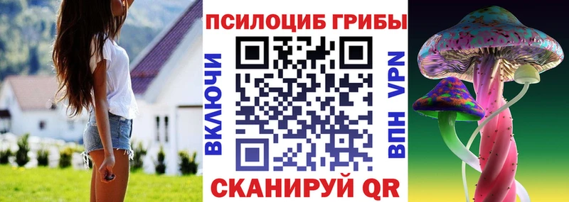 Галлюциногенные грибы мицелий  Котовск 