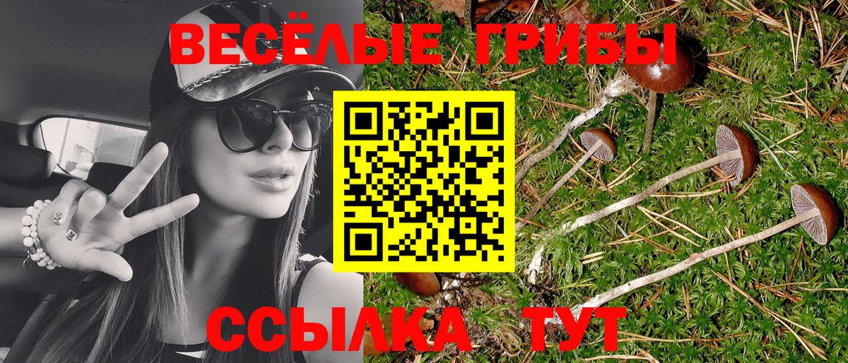 Псилоцибиновые грибы прущие грибы Котовск