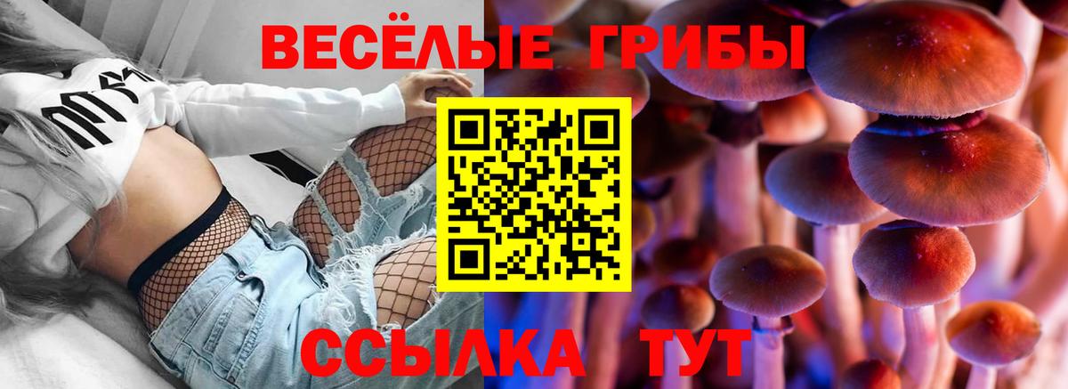 Псилоцибиновые грибы Cubensis  Псилоцибиновые грибы Magic Shrooms  Котовск  Вход с VPN 