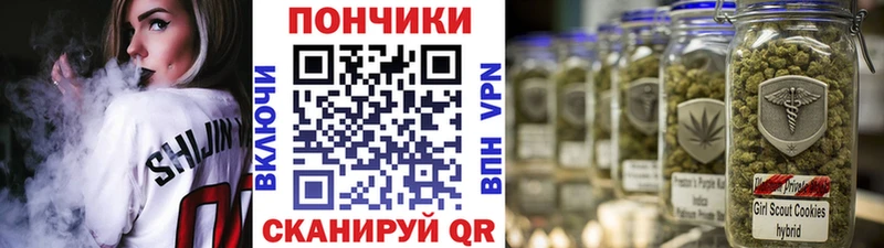 Шишки марихуана конопля где купить наркоту Котовск